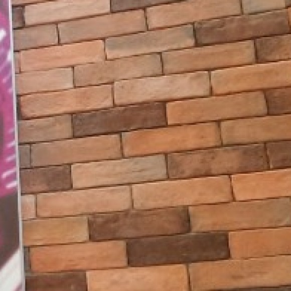 Profile photo of kumars siri