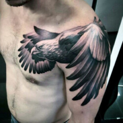 Profile photo of Sameera