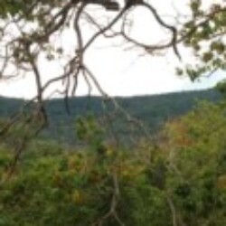 Profile photo of Wicky