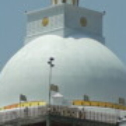 Profile picture of Sugath10