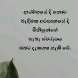 Profile photo of තරංග