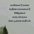 Profile photo of තරංග