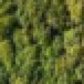 Profile photo of dasan