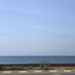 Profile photo of Shan