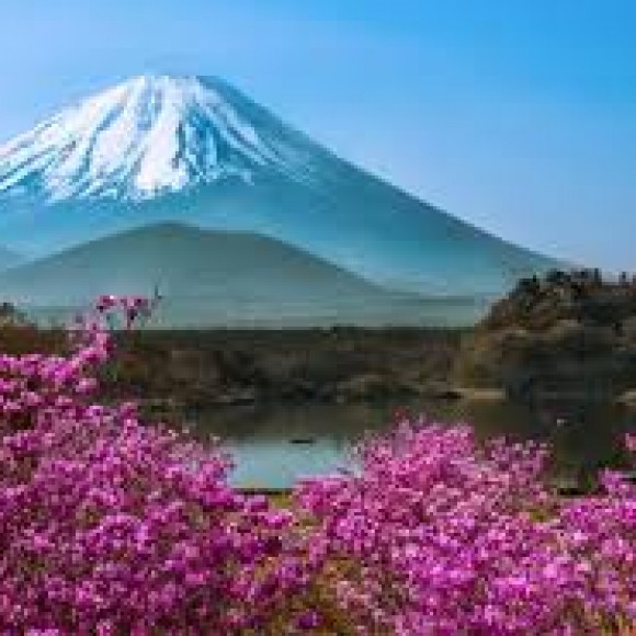 Profile photo of ranga perera