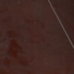 Profile photo of dino