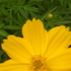 Profile photo of Vish