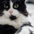 Profile photo of kishan