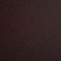 Profile photo of Raveen Perera