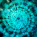 Profile photo of thushan