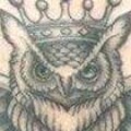 Profile photo of Nirisnan77