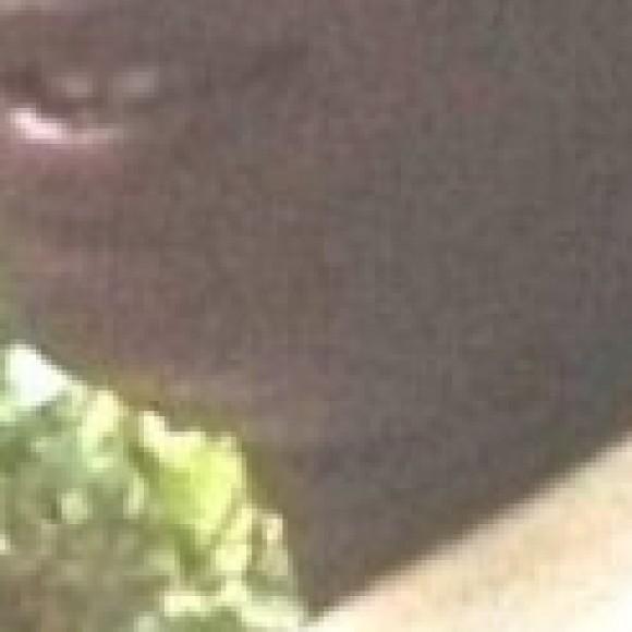 Profile photo of naween