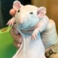 Profile photo of Andrew
