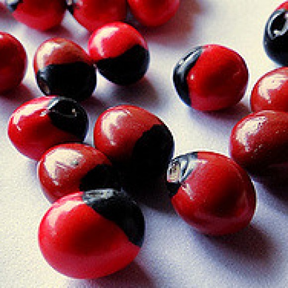 Profile photo of Hashan Perera