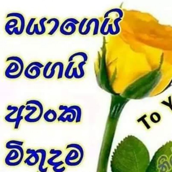 Profile photo of Gayan amila