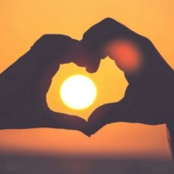 Profile photo of shiran thilina