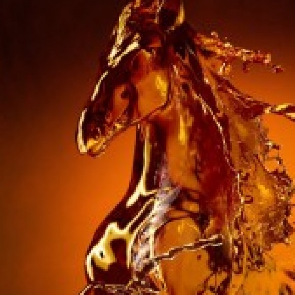 Profile photo of sadun asela