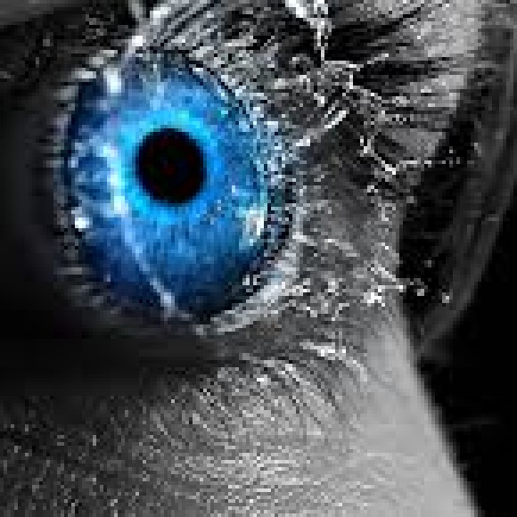 Profile picture of shan silva