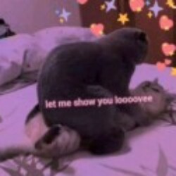 Profile photo of Nimeshi Sathsarini