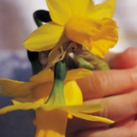 Profile photo of Maname