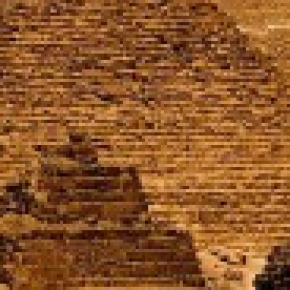 Profile picture of Harsha