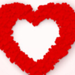 Profile picture of Dinush