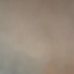 Profile picture of Lavin