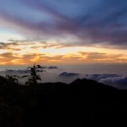 Profile picture of Devinda27mkandy