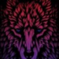 Profile picture of Nipuna dananjaya