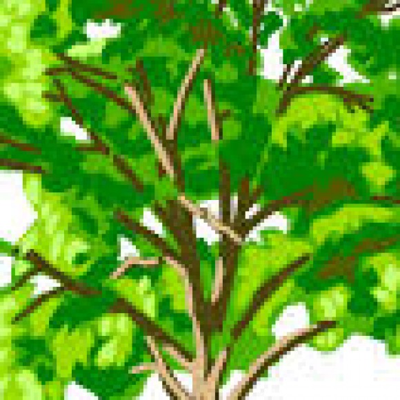 Profile picture of Wasantha