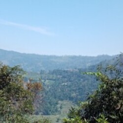 Profile picture of Shaan