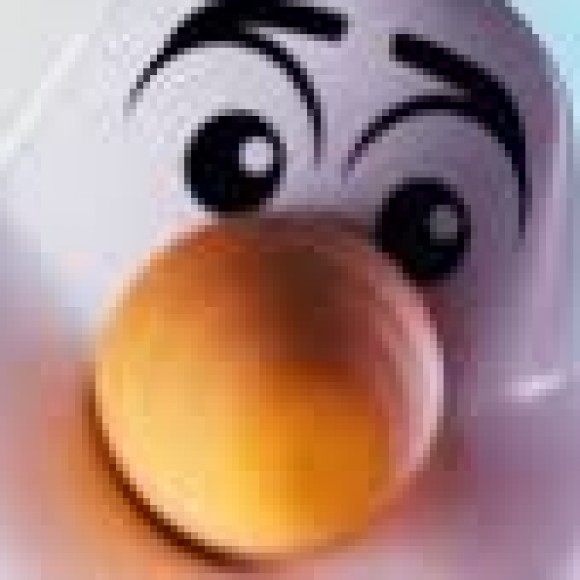 Profile picture of DSA