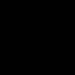 Profile photo of Sachith