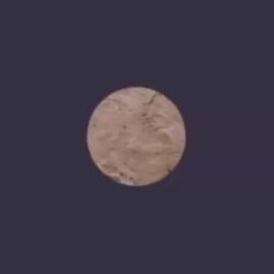 Profile photo of cupl