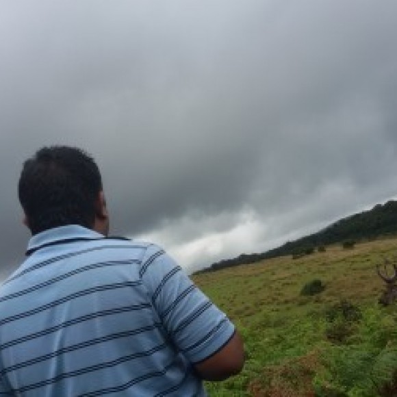 Profile photo of Bindu fernando