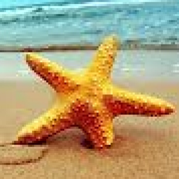 Profile photo of Madawa