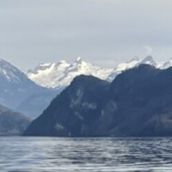 Profile photo of Steve