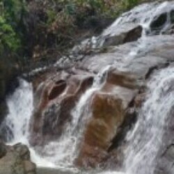 Profile photo of Oshan