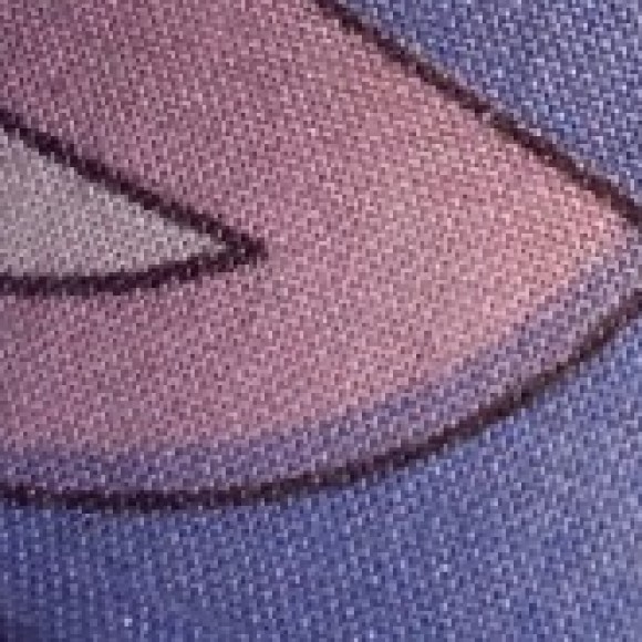 Profile photo of amila perera