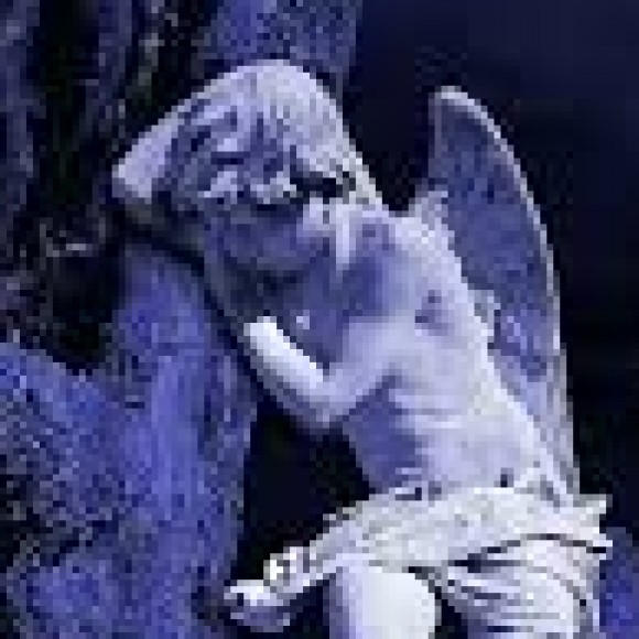 Profile picture of saman saman