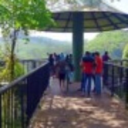 Profile photo of Yomi