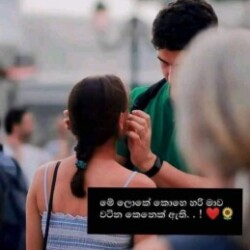 Profile photo of Sam Rocks