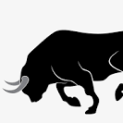 Profile photo of Experienced Bull - 29yrs