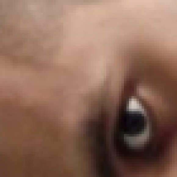 Profile picture of Yasith