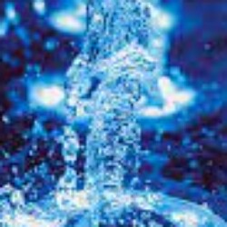 Profile photo of S.x