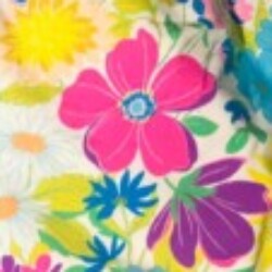 Profile photo of Kasuki