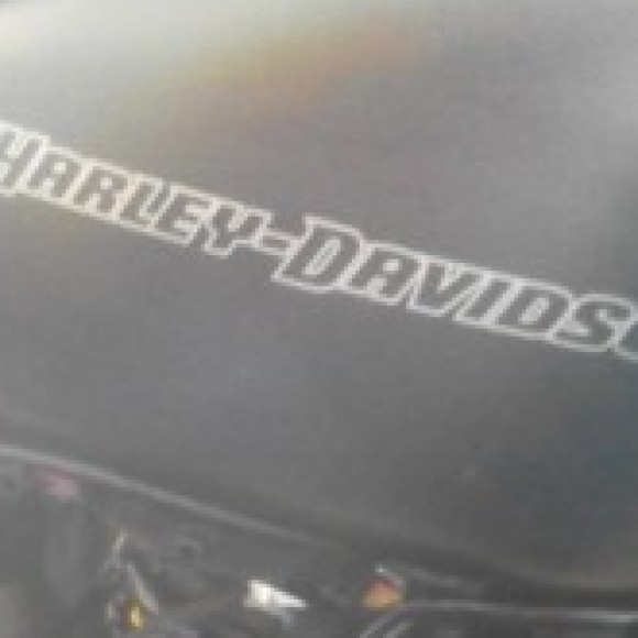 Profile picture of Ronniebenjamin