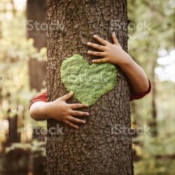 Profile photo of supun abesinghe