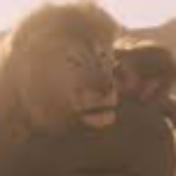 Profile photo of Nelson