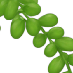 Profile photo of Dasuni